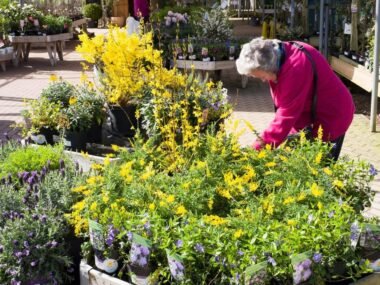 Garden Centre Operator Needed in Antigonish, Canada